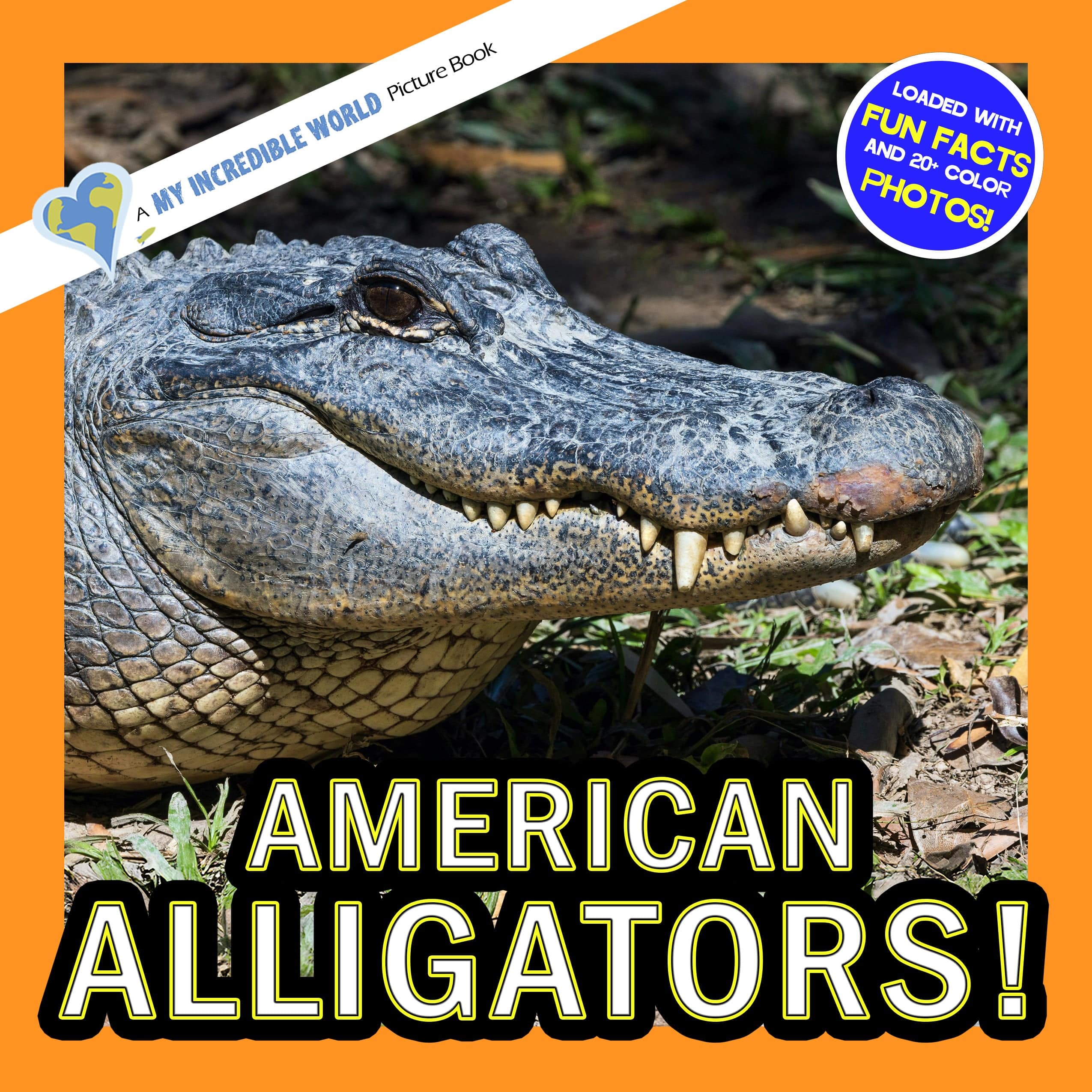 American Alligators! A My Incredible World Picture Book for Children